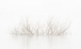 Stilleven, landschap in de mist.