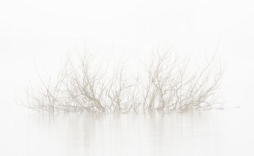 Stilleven, landschap in de mist.