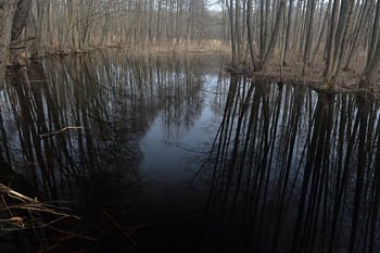 Stille Reflexionen