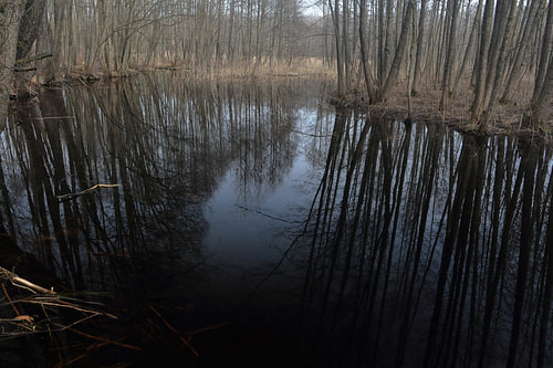 Stille Reflexionen