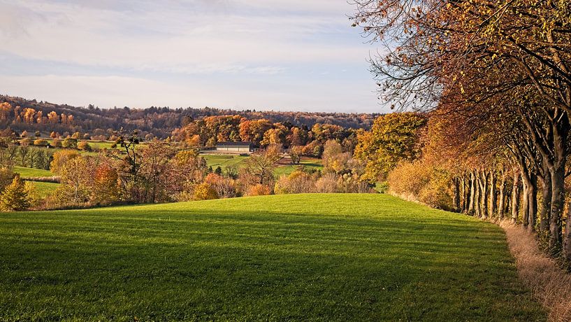 Autumn in the Wolfhaag / Raren by Rob Boon