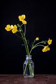 Foto print van boterbloem in glazen vaasje tegen zwarte achtergrond van Jenneke Boeijink