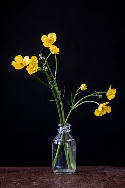 Buttercup in vase by Jenneke Boeijink