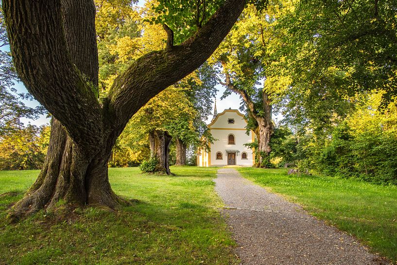 Karolikapelle unter alten Linden von Berthold Ambros