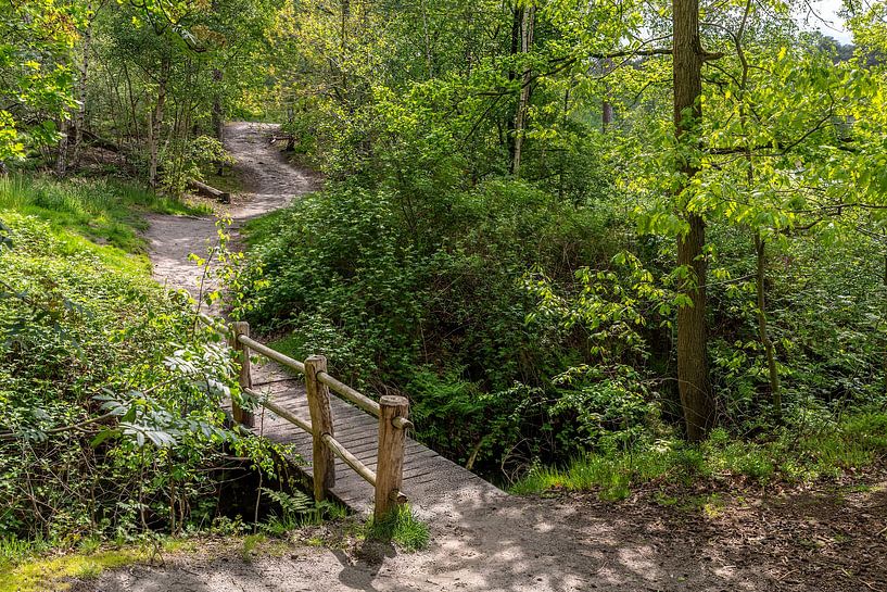 Die kleine Brücke durch den Wald. von Els Oomis