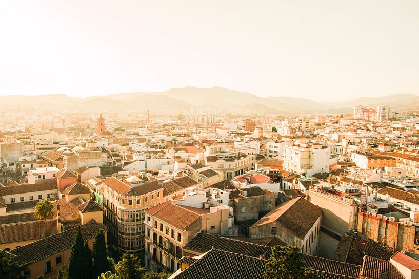 Barcelona by Hello Pompoyo