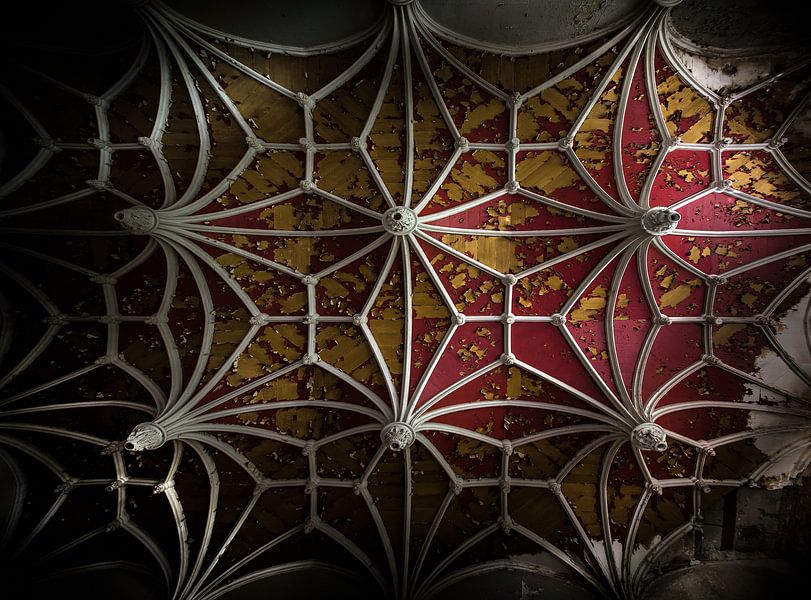 Ceiling of a abandoned castle by Olivier Photography