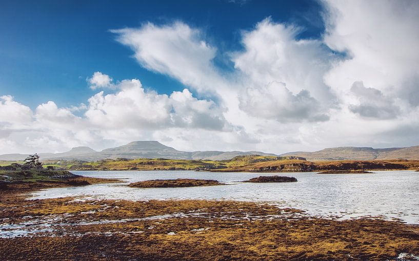 L'Écosse en été. Les célèbres Highlands dans une idylle silencieuse et la solitude. par Jakob Baranowski - Photography - Video - Photoshop