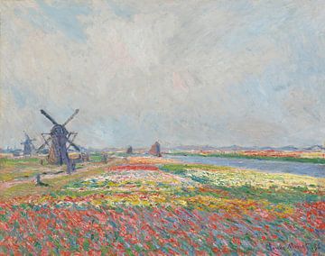 Tulpenvelden vlak bij Den Haag, Claude Monet