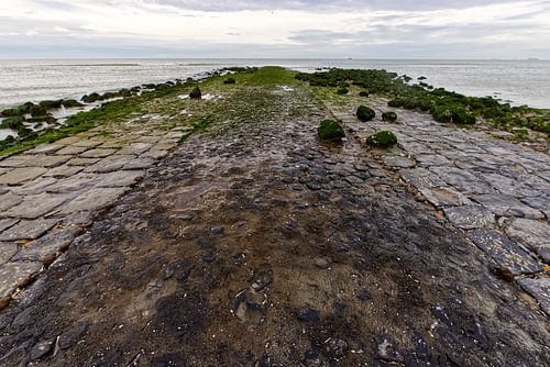 Groene Golfbreker op het strand bij Ouddorp