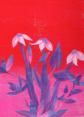 Bloom After Sunset