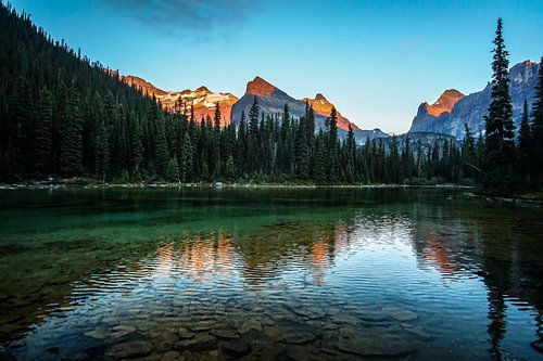 Uitgewassen weerspiegeling in het meer met alpengloed bij Lake O'Hara in Yoho National Park, British
