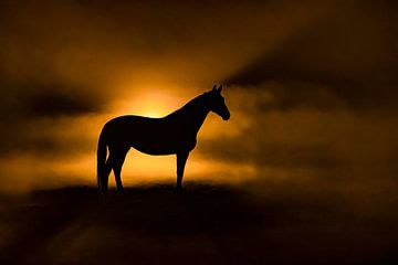 Silhouette du crépuscule - Cheval dans la dernière lumière sur Femke Ketelaar