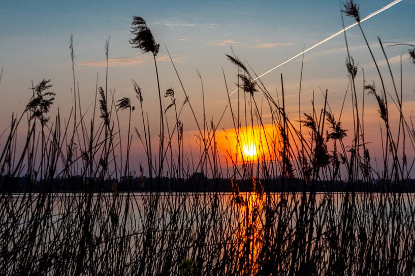 sunset behind the reeds by Foto Dani