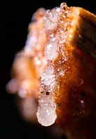 Boomsap macro shot (horizontaal)