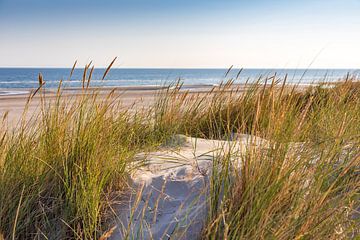 Paysage de dunes au bord de la mer sur Uwe Merkel