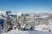 Winter Landscape