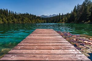 Houten steiger in een blauw groen bergmeer van Dafne Vos