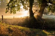Zonsopkomst van Kees Wessels thumbnail