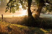 Zonsopkomst