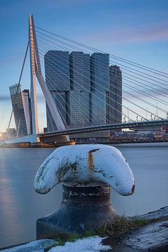 Skyline van Rotterdam van gaps photography