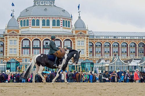 Scheveningen 15