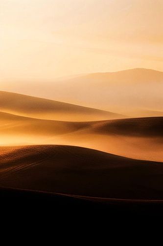 Gouden duinen bij zonsopgang
