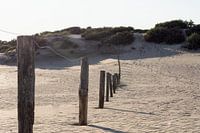 Duinen