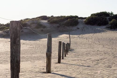 Duinen