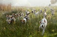 Foxhounds in actie von Wybrich Warns Miniaturansicht