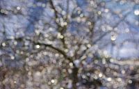 Winterglinstering