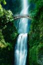 Waterfall with bridge over Multnomah Falls in Oregon / USA. by Voss photography thumbnail