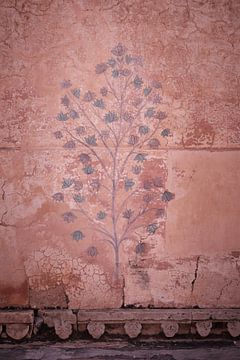 wall fresco in the amber fortress of Jaipur by Karel Ham