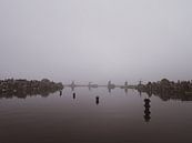 Ein nebliger Morgen in der Zaanse Schans von Patricia Holthof Miniaturansicht