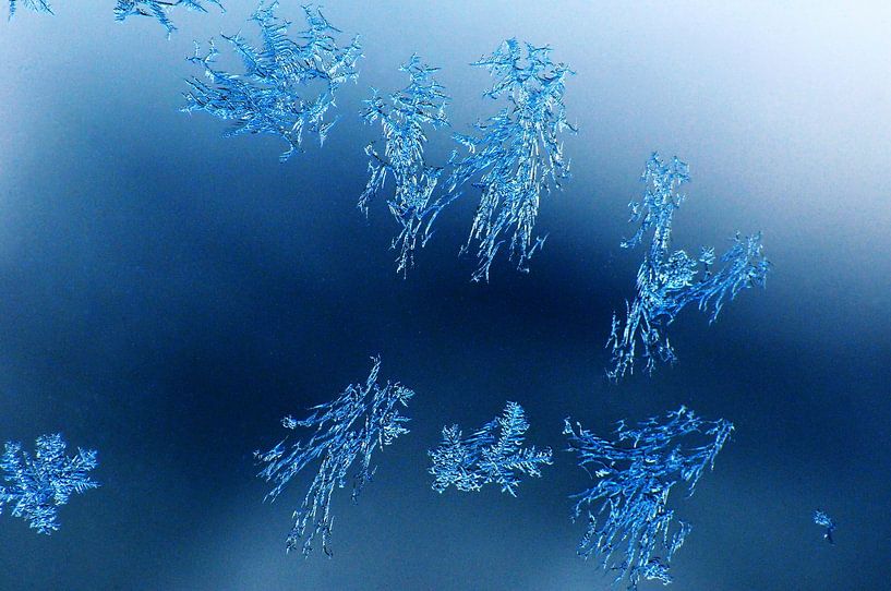 Tribal Ice #09 by Fabrizio Gallo