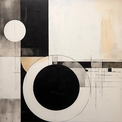 Cirkels en vakken Abstract zwart-wit