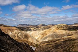 Gold of the Highlands by Gerry van Roosmalen