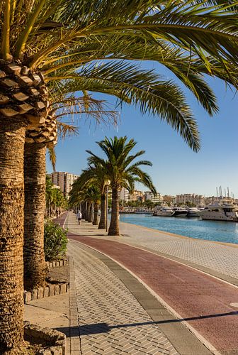 Palma de Majorca stad en jachthaven, Spanje