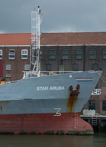 Coaster Star Aruba afgemeerd in de haven van Vlaardingen.