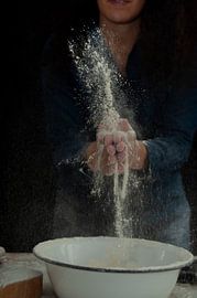 Flower Explosion by zippora wiese