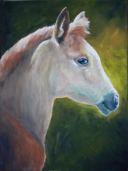 Foal by Andrea Meyer