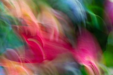Colorbomb Blumen von Simone Haneveer