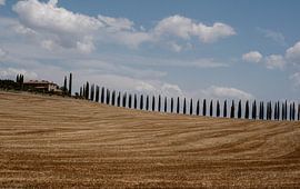 Toskanischer Hügel von Inge de Lange
