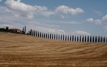 Tuscan hill by Inge de Lange