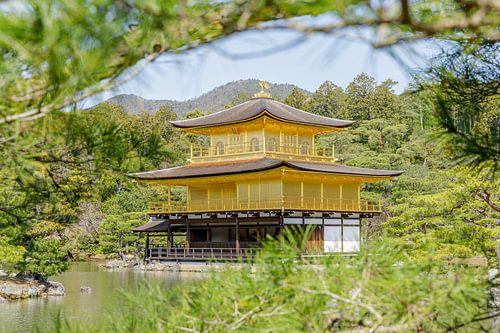 Kinkaku-ji tempel Kyoto Japan