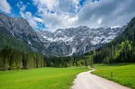 Zgornje Jezersko vallei in de lente van Sjoerd van der Wal Fotografie thumbnail