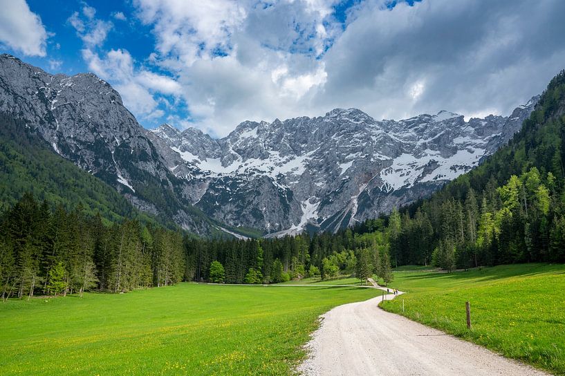 Zgornje Jezersko vallei in de lente van Sjoerd van der Wal Fotografie