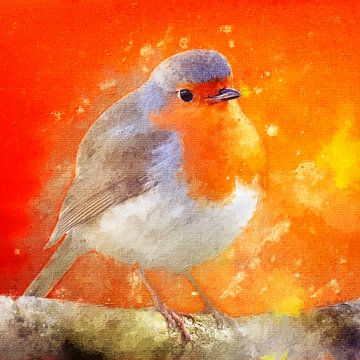 Robins sur fond orange (art, carré)