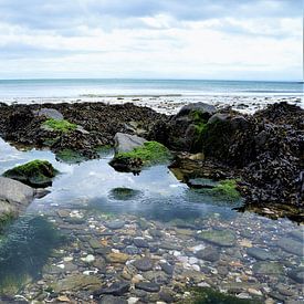 Die raue Natur bei Ebbe am Strand der Bretagne Frankreich von Sandra van der Burg