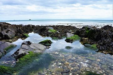 La nature rude à marée basse sur la plage de Bretagne France sur Sandra van der Burg